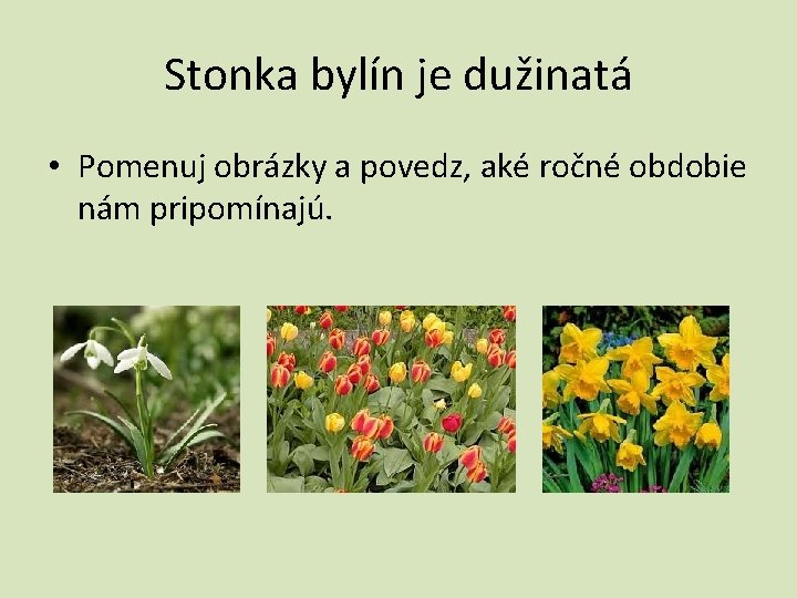 Stonka bylín je dužinatá • Pomenuj obrázky a povedz, aké ročné obdobie nám pripomínajú.