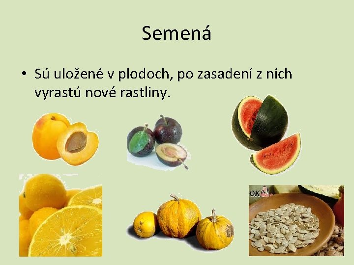 Semená • Sú uložené v plodoch, po zasadení z nich vyrastú nové rastliny. 