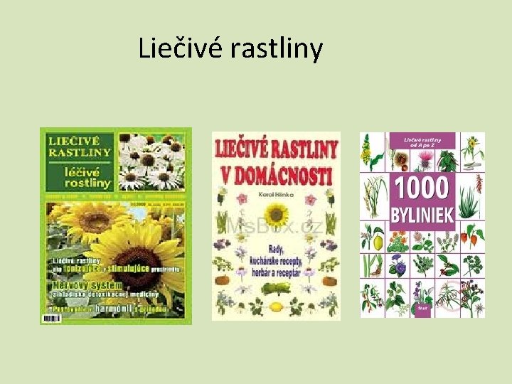 Liečivé rastliny 