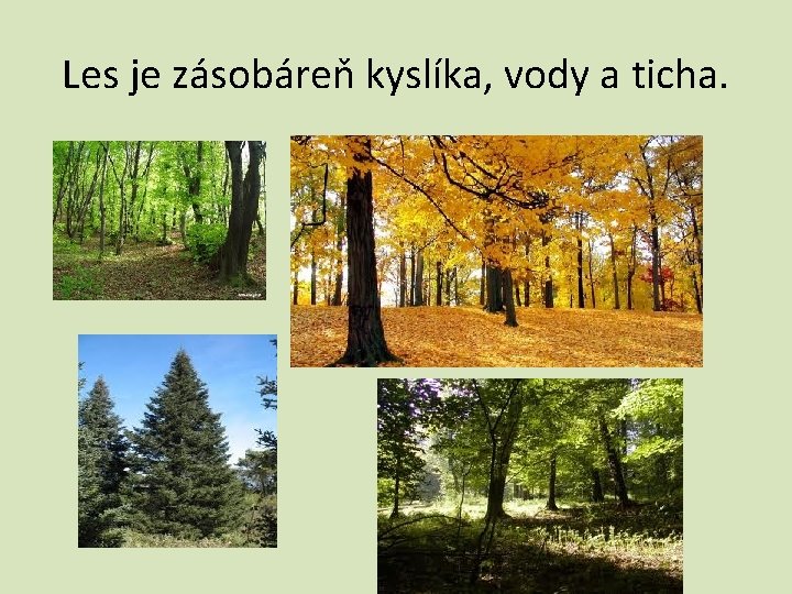 Les je zásobáreň kyslíka, vody a ticha. 