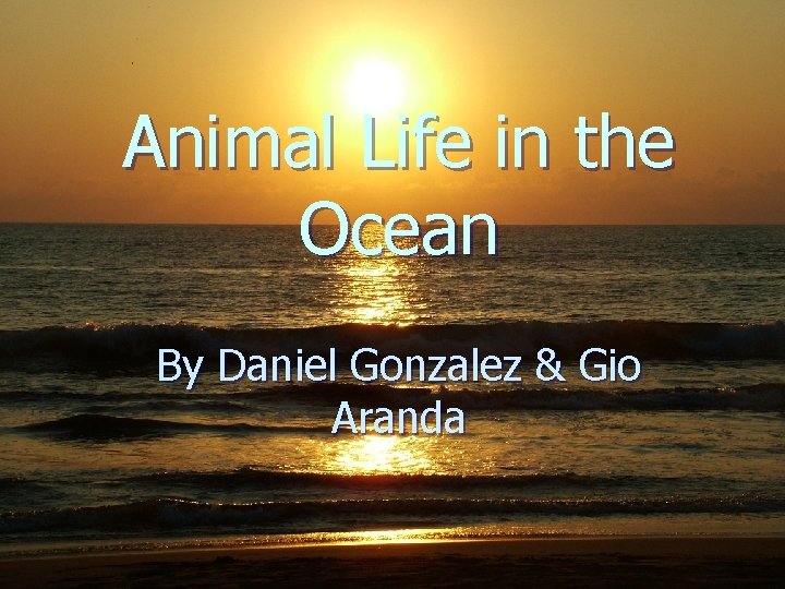 Animal Life in the Ocean By Daniel Gonzalez & Gio Aranda 