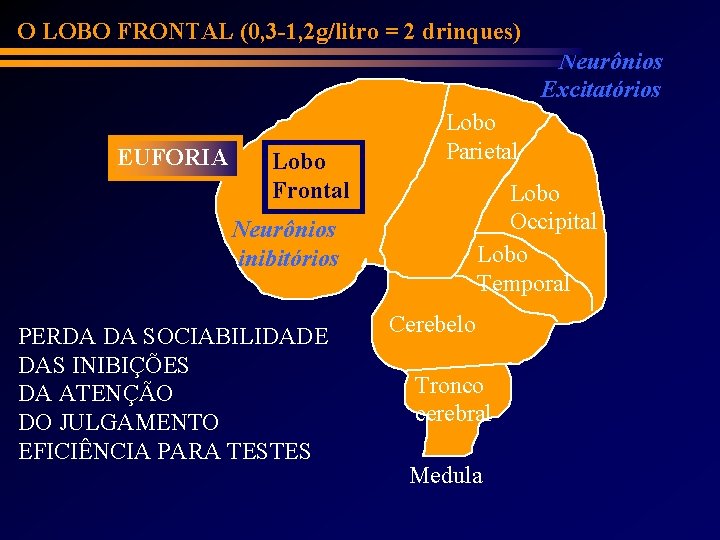 O LOBO FRONTAL (0, 3 -1, 2 g/litro = 2 drinques) Neurônios Excitatórios EUFORIA