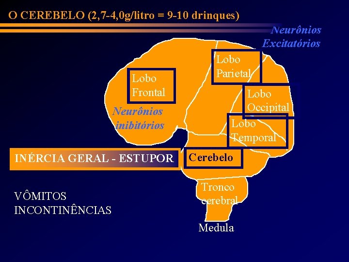 O CEREBELO (2, 7 -4, 0 g/litro = 9 -10 drinques) Neurônios Excitatórios Lobo