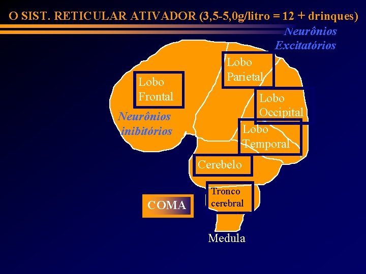 O SIST. RETICULAR ATIVADOR (3, 5 -5, 0 g/litro = 12 + drinques) Neurônios