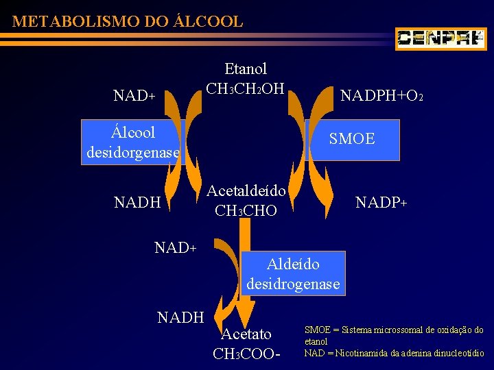 METABOLISMO DO ÁLCOOL Etanol CH 3 CH 2 OH NAD+ Álcool desidorgenase NADH NAD+