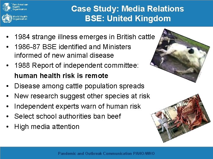 Pan American Health Organization World Health Organization Case Study: Media Relations BSE: United Kingdom