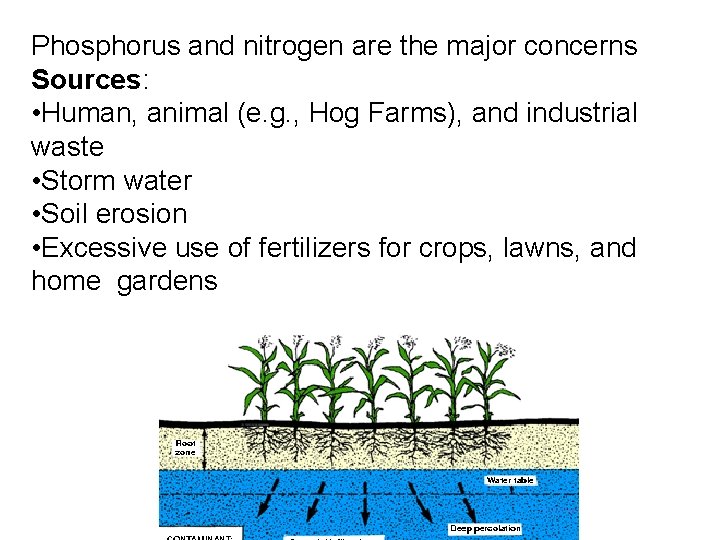 Phosphorus and nitrogen are the major concerns Sources: • Human, animal (e. g. ,