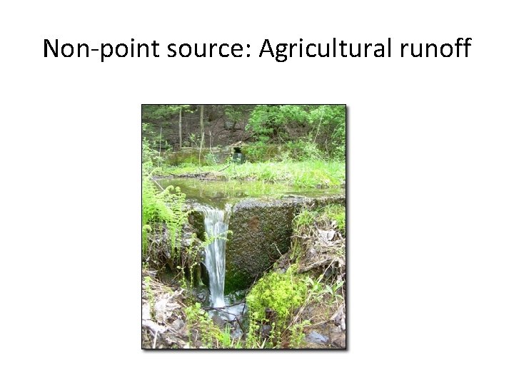 Non-point source: Agricultural runoff 