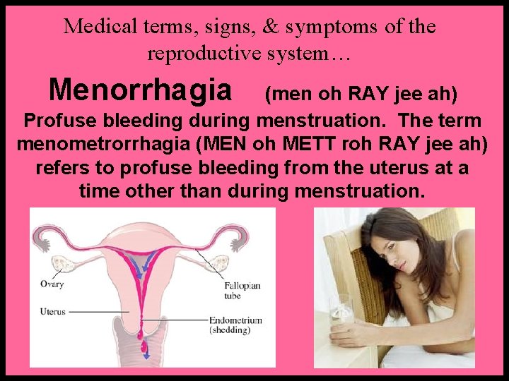 Medical terms, signs, & symptoms of the reproductive system… Menorrhagia (men oh RAY jee