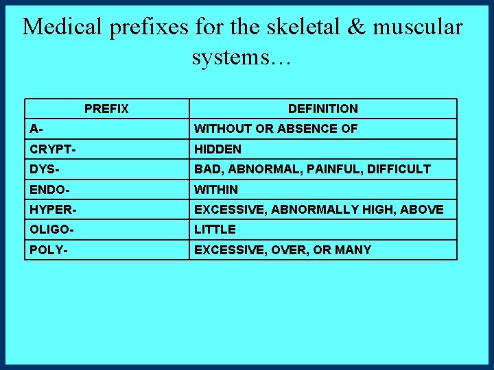 Medical prefixes for the skeletal & muscular systems… PREFIX DEFINITION A- WITHOUT OR ABSENCE