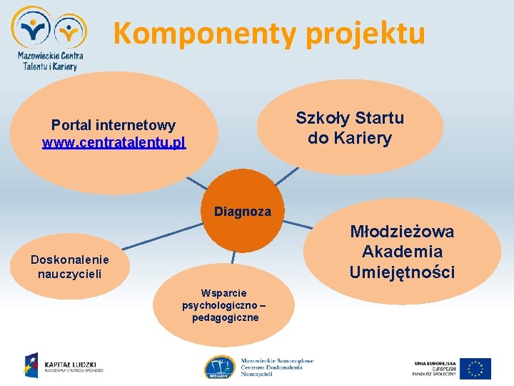 Komponenty projektu Szkoły Startu do Kariery Portal internetowy www. centratalentu. pl Diagnoza Młodzieżowa Akademia