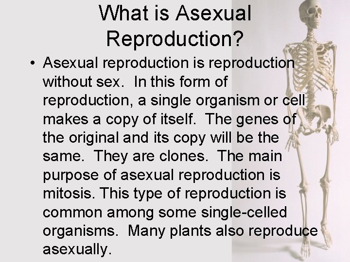 What is Asexual Reproduction? • Asexual reproduction is reproduction without sex. In this form