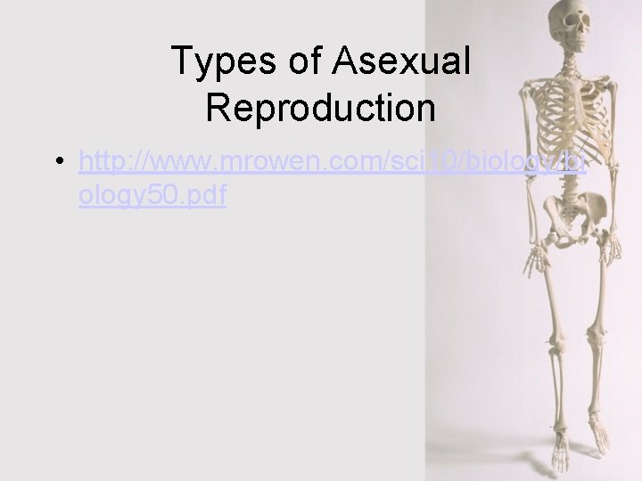 Types of Asexual Reproduction • http: //www. mrowen. com/sci 10/biology/bi ology 50. pdf 