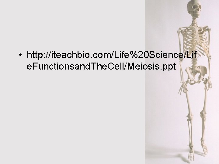  • http: //iteachbio. com/Life%20 Science/Lif e. Functionsand. The. Cell/Meiosis. ppt 