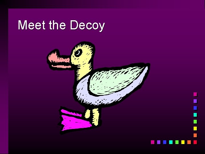Meet the Decoy 