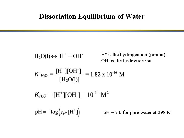 Dissociation Equilibrium of Water H+ is the hydrogen ion (proton); OH- is the hydroxide Dissociation Equilibrium of Water H+ is the hydrogen ion (proton); OH- is the hydroxide