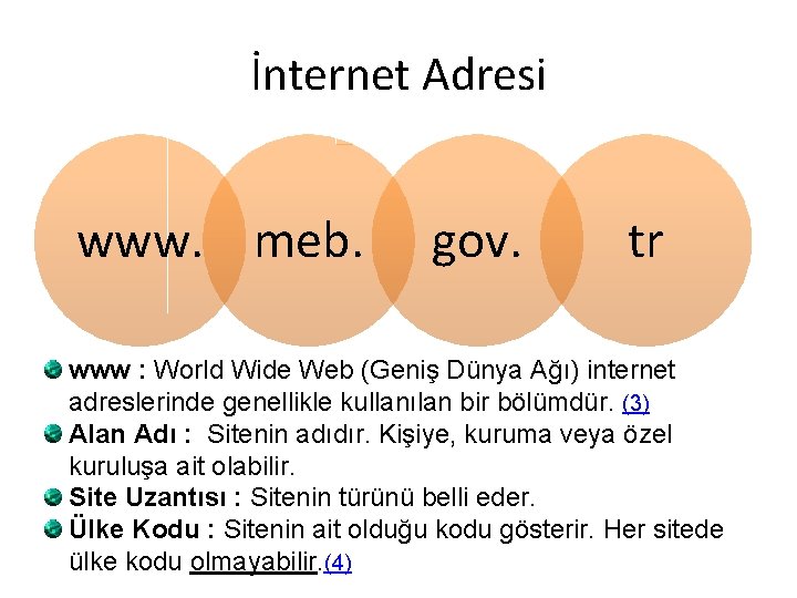 İnternet Adresi www. meb. gov. tr www : World Wide Web (Geniş Dünya Ağı)