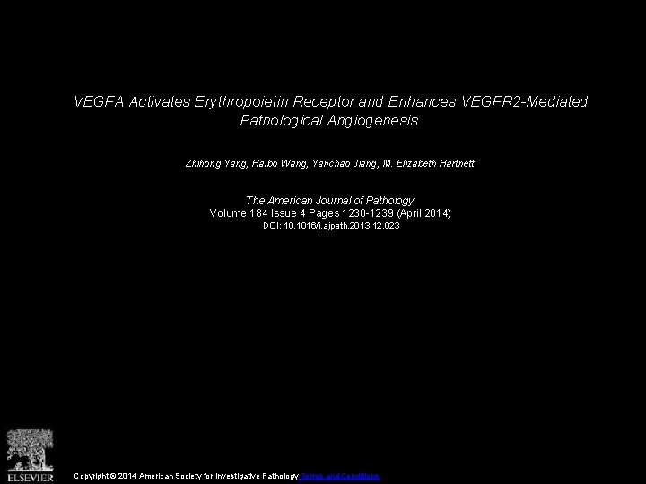 VEGFA Activates Erythropoietin Receptor and Enhances VEGFR 2 -Mediated Pathological Angiogenesis Zhihong Yang, Haibo