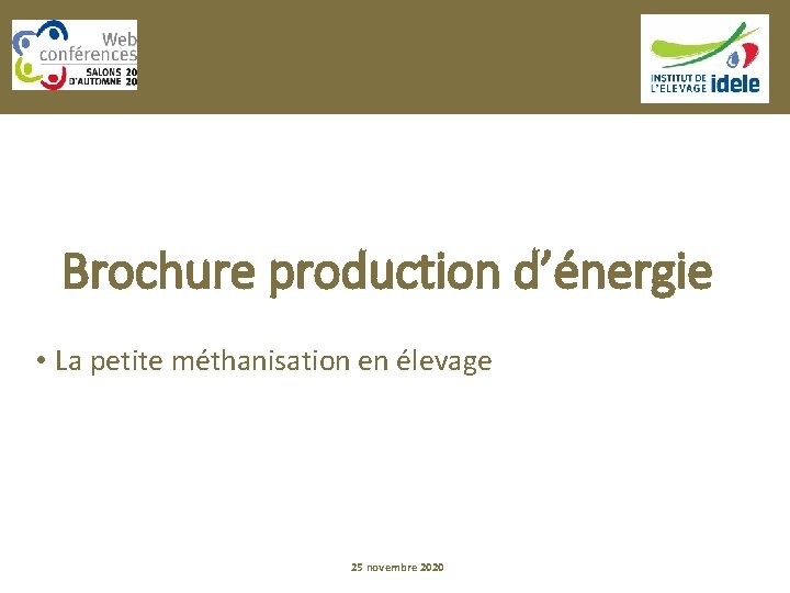 Brochure production d’énergie • La petite méthanisation en élevage 25 novembre 2020 