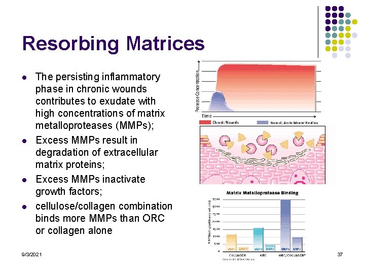 Resorbing Matrices l l The persisting inflammatory phase in chronic wounds contributes to exudate