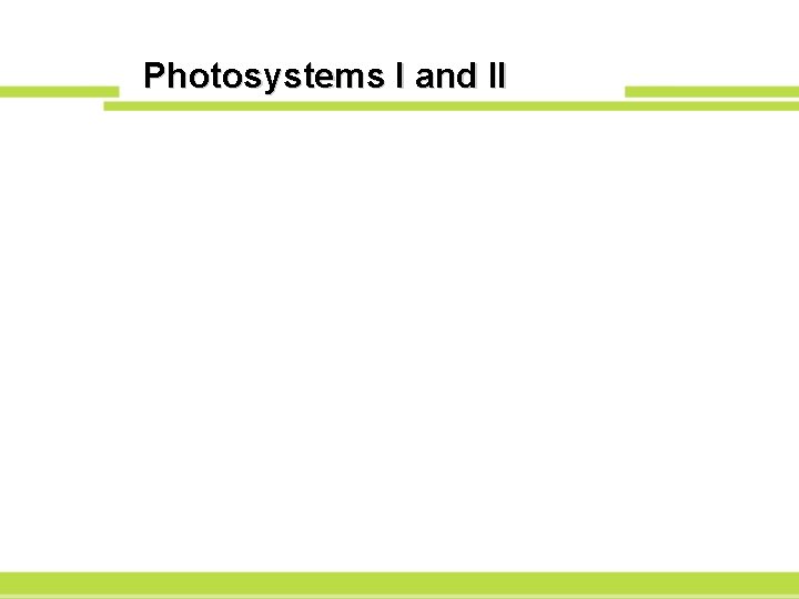 Photosystems I and II 