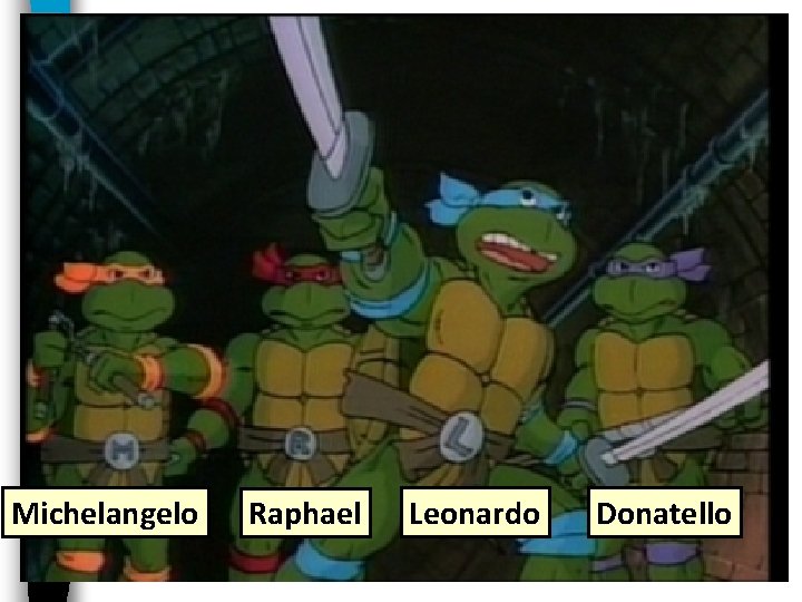 Michelangelo Raphael Leonardo Donatello 