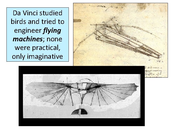 Da Vinci studied birds and tried to engineer flying machines; none were practical, only