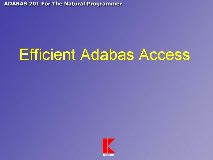 Efficient Adabas Access 