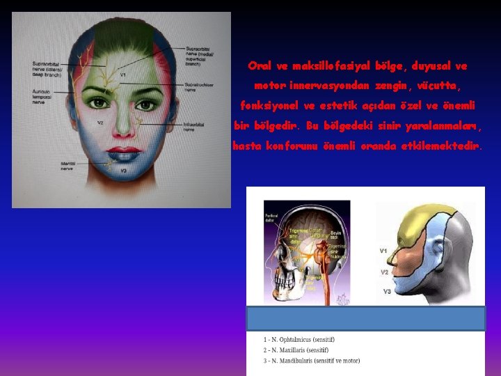 Oral ve maksillofasiyal bölge, duyusal ve motor innervasyondan zengin, vücutta, fonksiyonel ve estetik açıdan