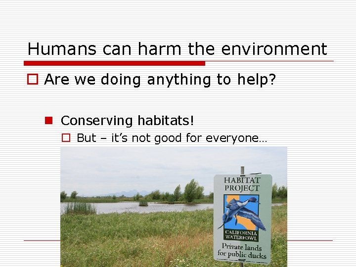 Humans can harm the environment o Are we doing anything to help? n Conserving Humans can harm the environment o Are we doing anything to help? n Conserving