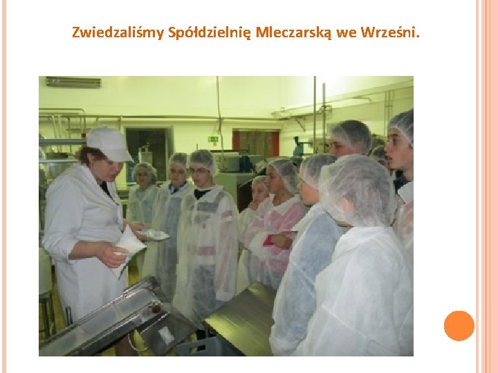 Zwiedzaliśmy Spółdzielnię Mleczarską we Wrześni. 