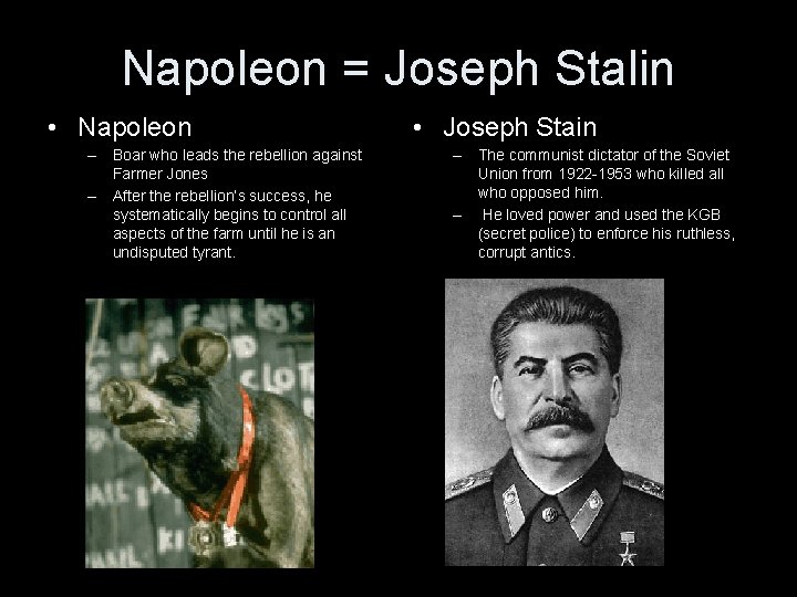 Napoleon = Joseph Stalin • Napoleon – Boar who leads the rebellion against Farmer