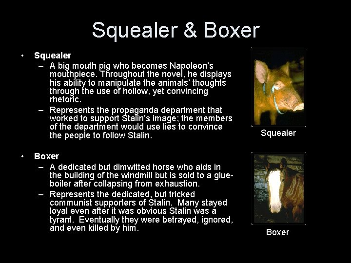 Squealer & Boxer • • Squealer – A big mouth pig who becomes Napoleon’s