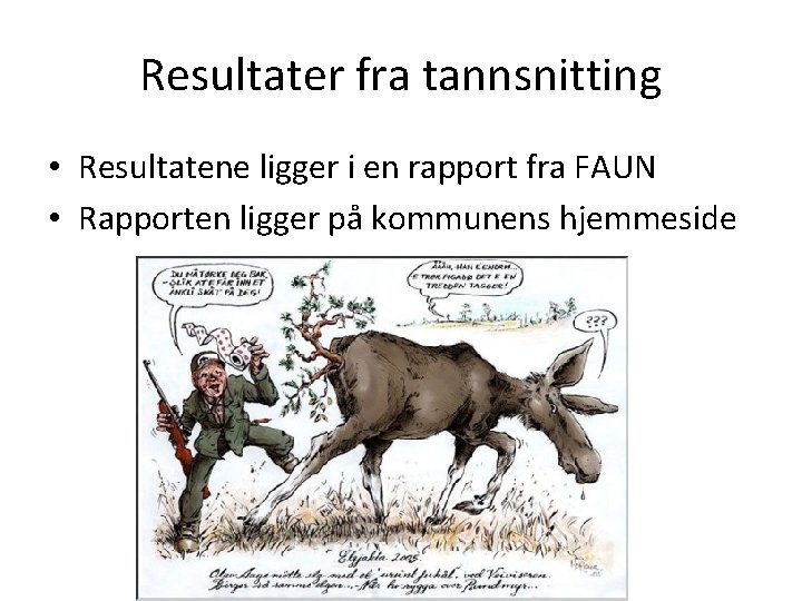 Resultater fra tannsnitting • Resultatene ligger i en rapport fra FAUN • Rapporten ligger