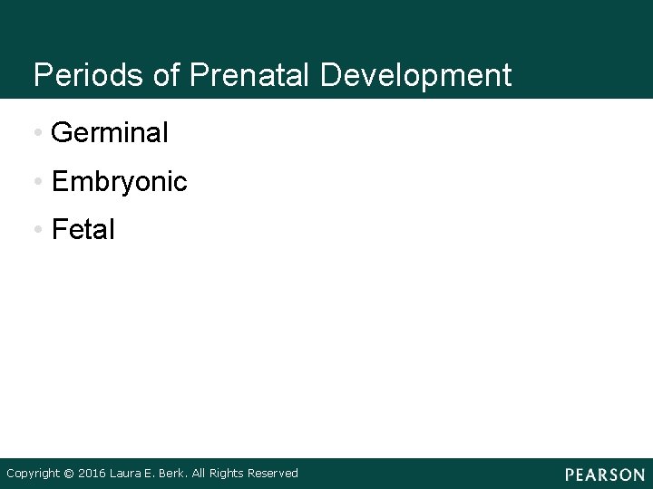 Periods of Prenatal Development • Germinal • Embryonic • Fetal Copyright © 2016 Laura