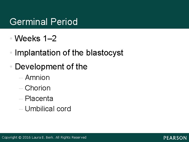 Germinal Period • Weeks 1– 2 • Implantation of the blastocyst • Development of