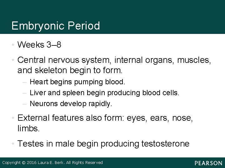 Embryonic Period • Weeks 3– 8 • Central nervous system, internal organs, muscles, and