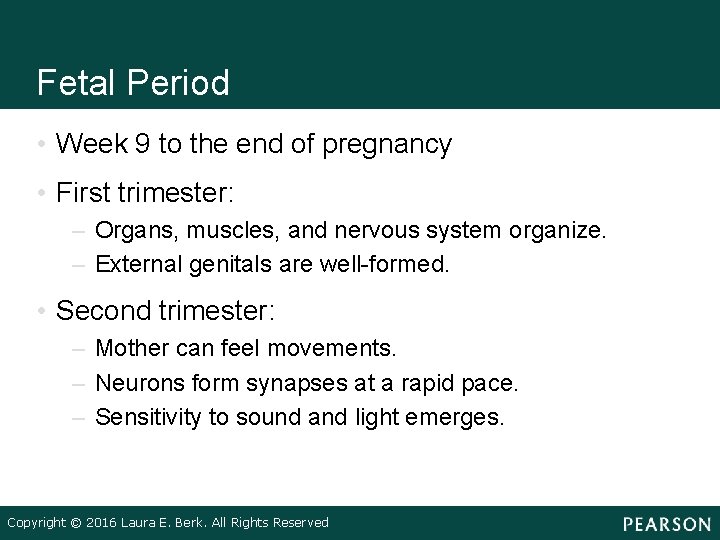 Fetal Period • Week 9 to the end of pregnancy • First trimester: –