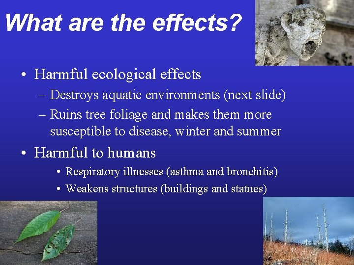 What are the effects? • Harmful ecological effects – Destroys aquatic environments (next slide)