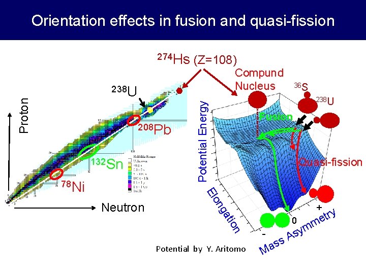Orientation effects in fusion and quasi-fission 274 Hs (Z=108) Compund Nucleus 208 Pb 132