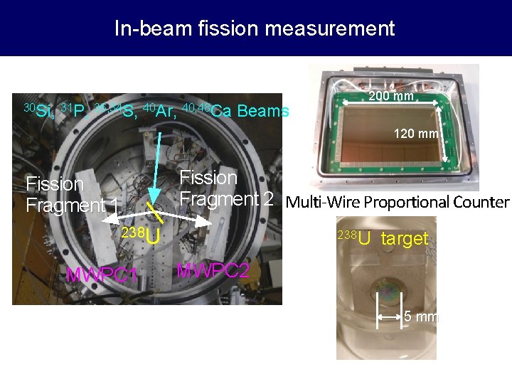 In-beam fission measurement 30 Si, 31 P, 36, 34 S, 40 Ar, 40, 48
