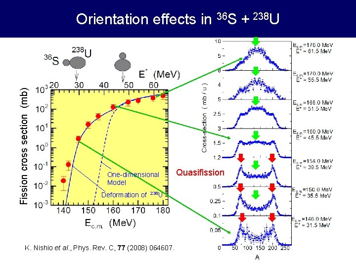 Fission cross section (mb) Orientation effects in 36 S + 238 U One-dimensional Model
