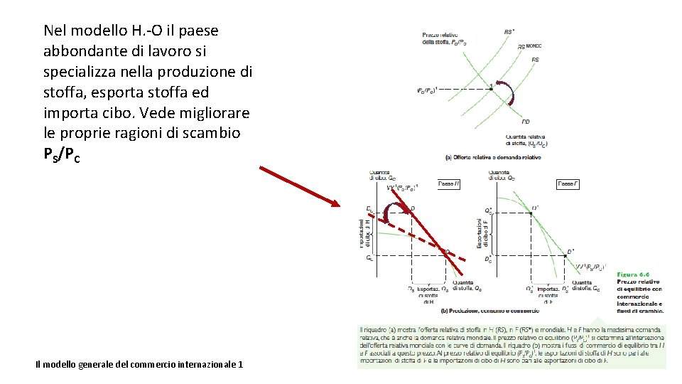 Nel modello H. -O il paese abbondante di lavoro si specializza nella produzione di