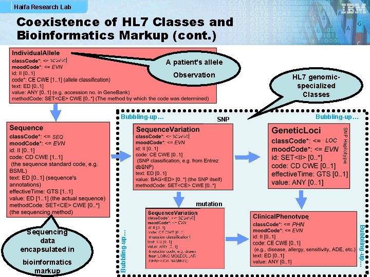 Haifa Research Lab Coexistence of HL 7 Classes and Bioinformatics Markup (cont. ) A