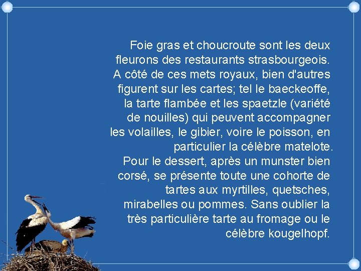 Foie gras et choucroute sont les deux fleurons des restaurants strasbourgeois. A côté de