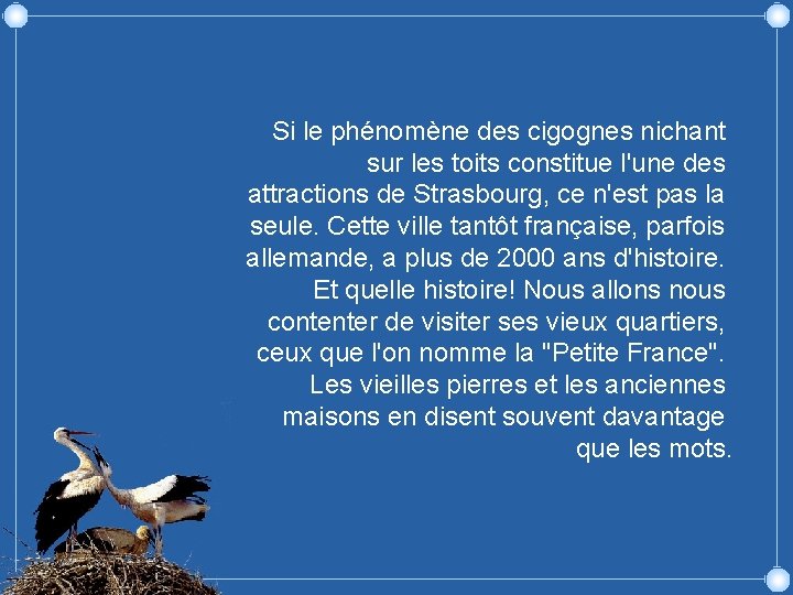 Si le phénomène des cigognes nichant sur les toits constitue l'une des attractions de