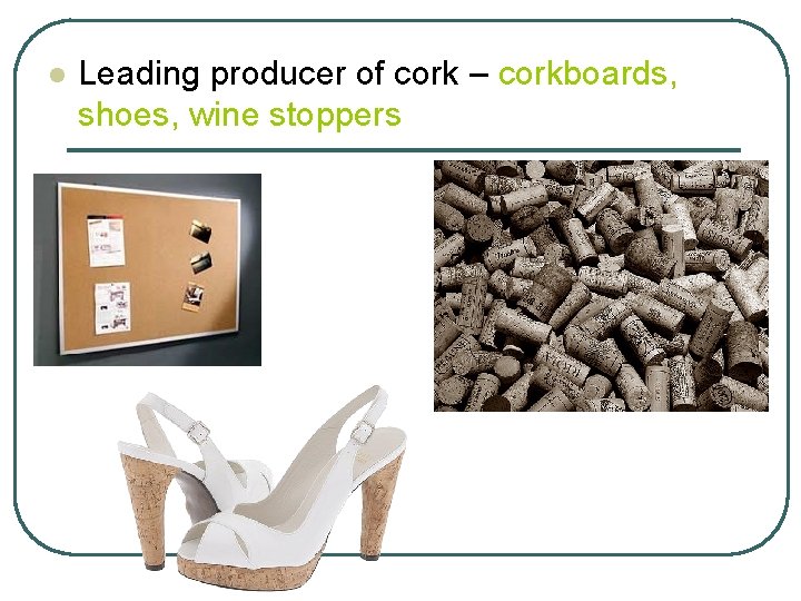 l Leading producer of cork – corkboards, shoes, wine stoppers 