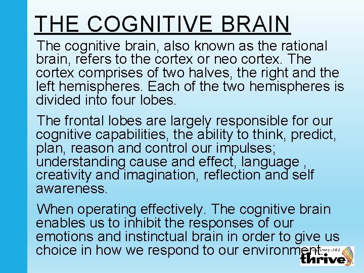 THE COGNITIVE BRAIN The cognitive brain, also known as the rational brain, refers to