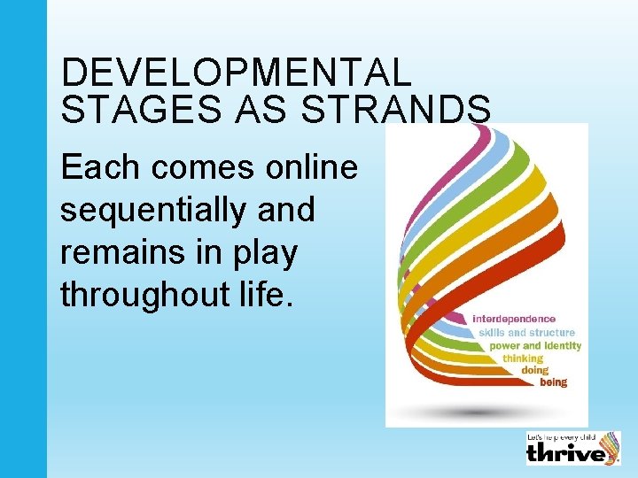 DEVELOPMENTAL STAGES AS STRANDS Each comes online sequentially and remains in play throughout life.