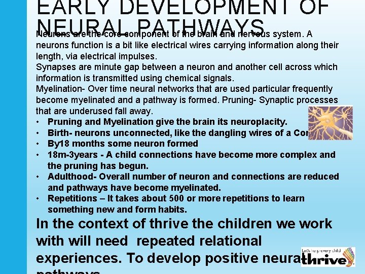 EARLY DEVELOPMENT OF NEURAL PATHWAYS Neurons are the core component of the brain and